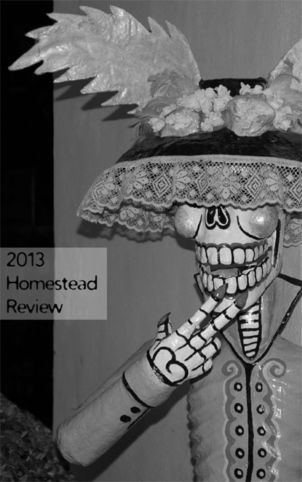 2013 Homestead Review Cover by Jennifer Lagier